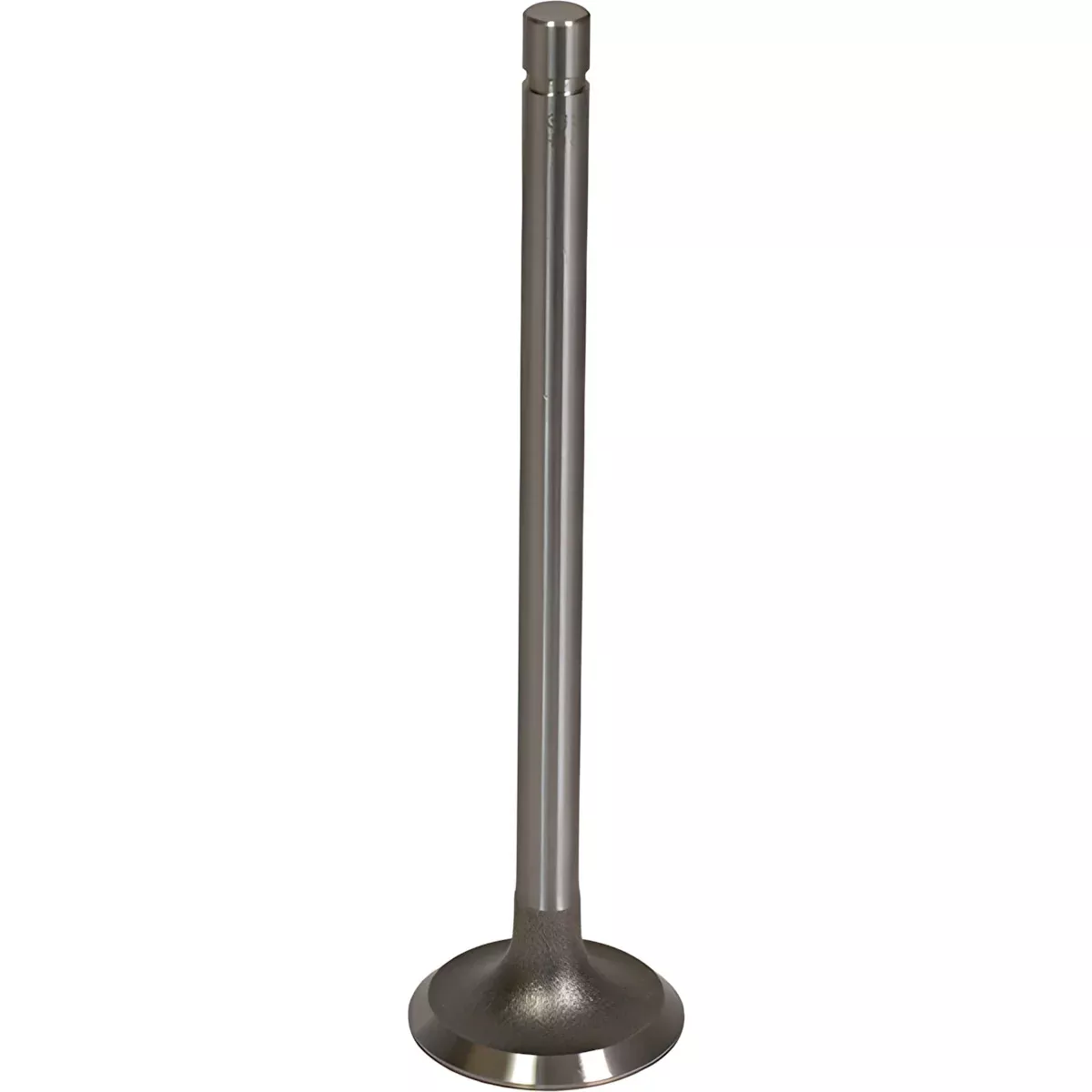 Intake Valve for Farmall & International 300, 350 363786R1