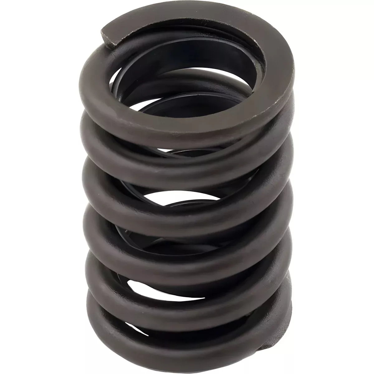 Valve Spring for International 1468, 1568 | 317365C11